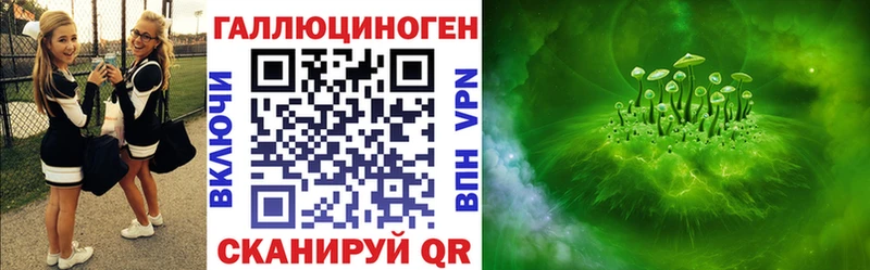 Галлюциногенные грибы Psilocybe Тайга