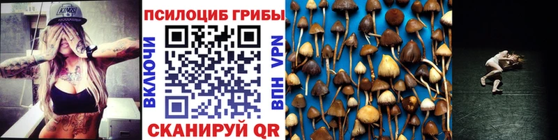 Купить Тайга Галлюциногенные грибы прущие грибы